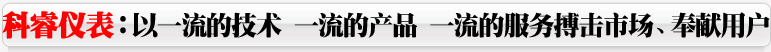 電磁流量計，渦街流量計，旋進旋渦流量計，平衡流量計，孔板流量計，超聲波流量計，V錐流量計，壓力變送器、差壓變送器